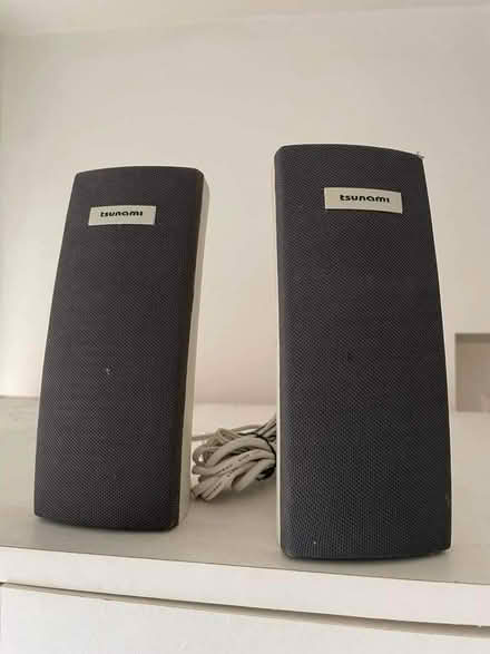 Photo of free Speaker (Swalwell NE16) #1