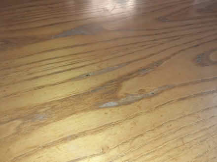 Photo of free dining table and chairs (Kelvindale G12) #4