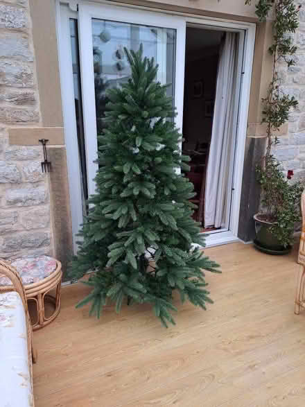 Photo of free Artificial Christmas Tree (Great Longstone DE45) #1