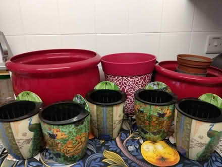 Photo of free Plastic plant pots for indoors (Higher Brixham TQ5) #1