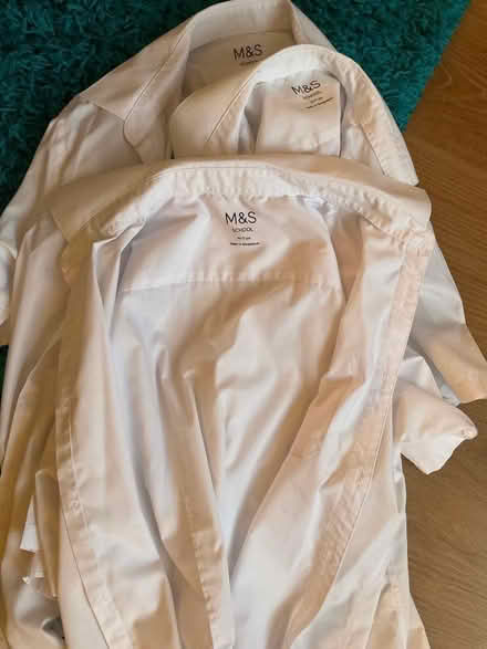 Photo of free Short sleeve boys school shirts (Greatness TN14) #1