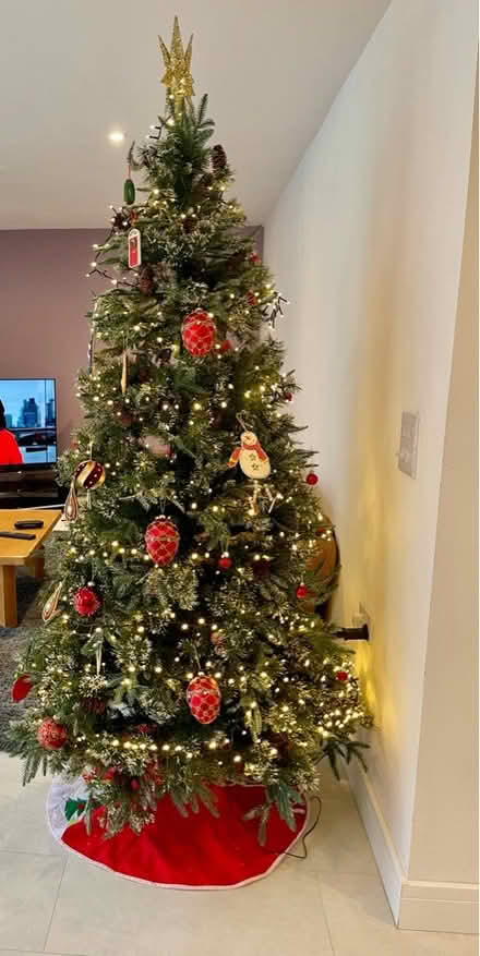 Photo of free Christmas Tree (Royal Tunbridge Wells) #1