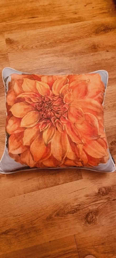 Photo of free Two Gorgeous Cushions (SE14) #1