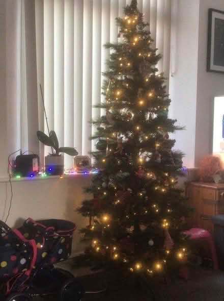 Photo of free 6ft fake Christmas tree (Greenhill S8) #2