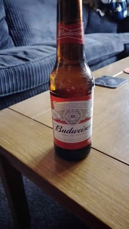 Photo of free 6 bottles Budwieser dated November 2023 (Lakenham NR1) #1