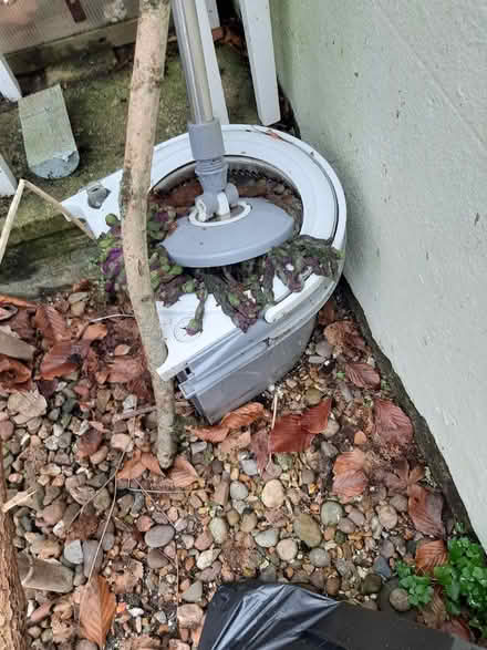 Photo of free New mop heads for circular mop (Brighton) #2