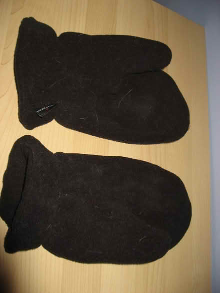 Photo of free mittens (Sandy Hill) #1