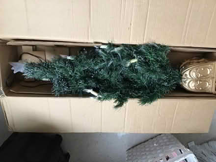 Photo of free Christmas tree (Henley-on-Thames RG9) #1
