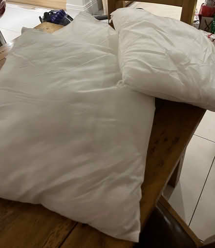 Photo of free Cushion Inners (Bracknell RG12) #1