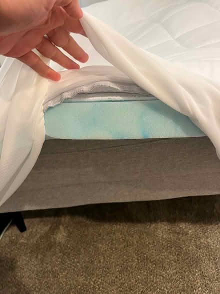 Photo of free Queen mattress topper (Morgan Hill) #2