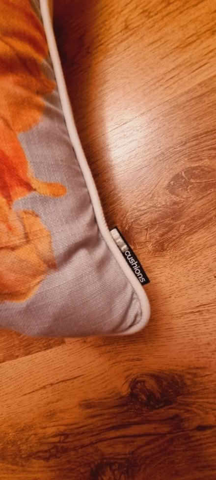 Photo of free Two Gorgeous Cushions (SE14) #2