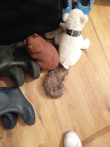 Photo of free Door stops (Newcastle upon Tyne) #1