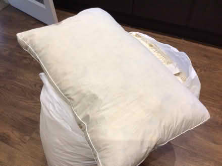 Photo of free Large pillows (Heaton chapel (SK4)) #1