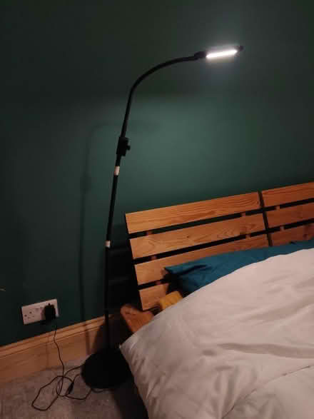Photo of free Standing lamp (Preston Park) #1