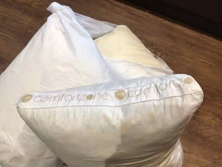 Photo of free Large pillows (Heaton chapel (SK4)) #2