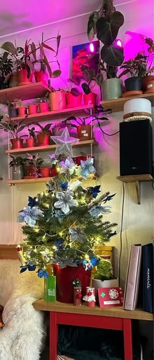 Photo of free Life 🌲 (Bognor Regis) #1