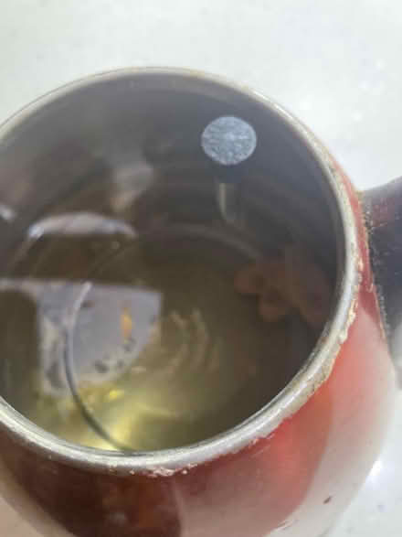 Photo of free Pyramid kettle (Eastfield) #3