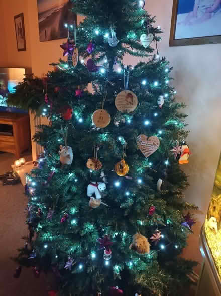 Photo of free Christmas tree 6 ft (Allerton L18) #1