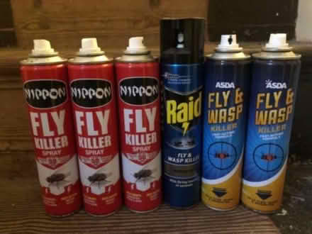 Photo of free Fly spray (The Butts BA11) #1