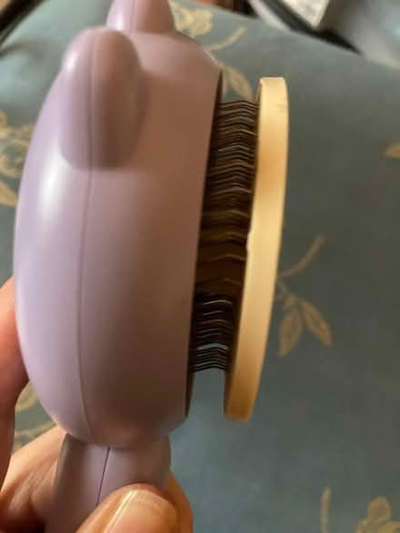 Photo of free Brush for a cat (Penrith CA11) #3