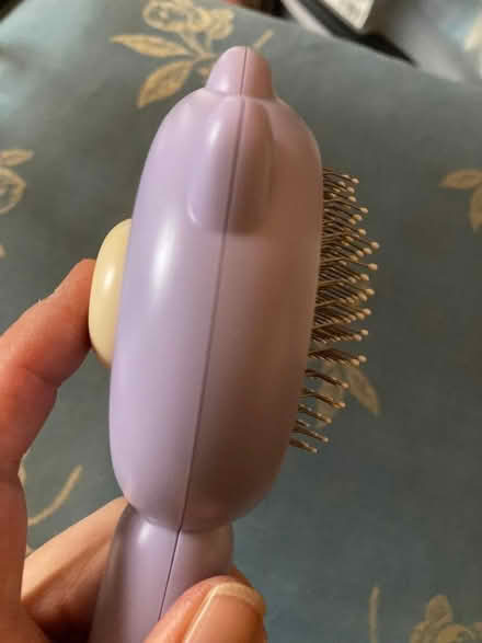 Photo of free Brush for a cat (Penrith CA11) #4