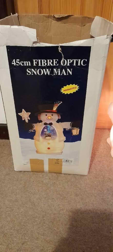Photo of free Fibre optic snowman (Flagg SK17) #1