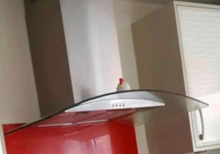 Photo of free Kitchen extractor (Eastfield) #1