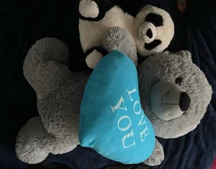 Photo of free Giant teddy and small teddy (BD1) #1