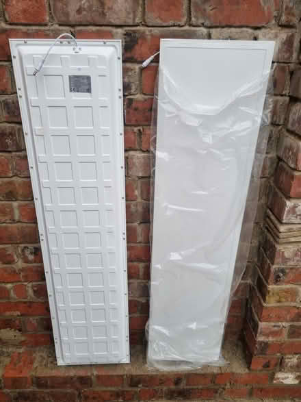Photo of free Ceiling lights (Leytonstone E11) #2