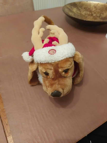 Photo of free Christmas Decorations (Barming) #3