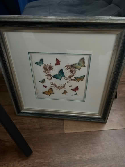 Photo of free 3d effect frames butterfly picture (L15) #1