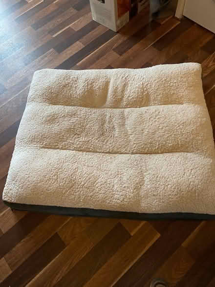 Photo of free Large dog bed (Intake S12) #1