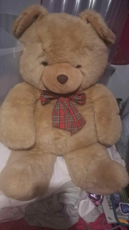 Photo of free Large Teddy (Nether Edge S7) #1