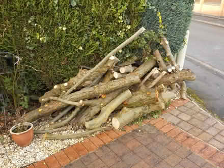 Photo of free Firewood (appleby parva) #1