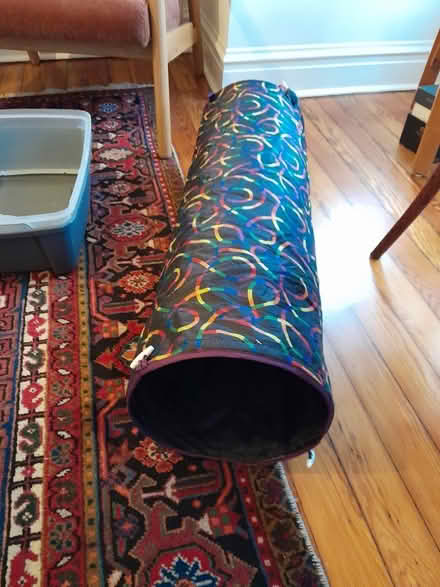 Photo of free cat tunnel (near Belmont and Greenview) #1