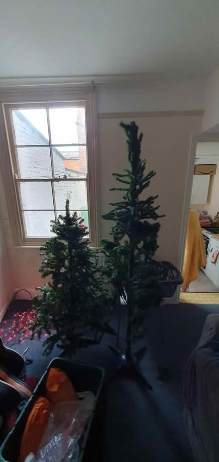 Photo of free 2x Christmas trees + extras (Tivoli GL50) #1