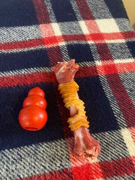 Photo of free Dog toys - Kong and chew (St Pauls, Cheltenham GL50) #1