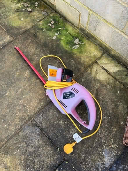 Photo of free Electric hedge trimmer (Odd Down) #1