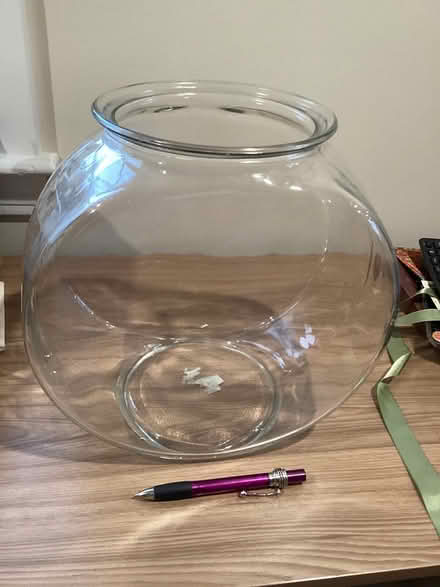 Photo of free Classic goldfish bowl (Watertown/Waltham/Belmont line) #1