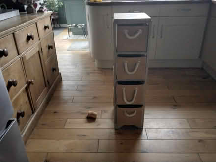 Photo of free 4 drawer shelves (Near Ivybridge) #1