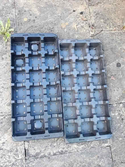Photo of free Plant trays, two sizes (Moortown LS17) #2