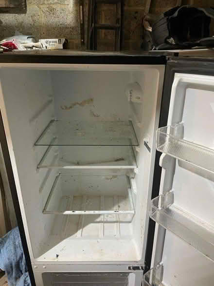 Photo of free Black larder fridge freezer (Wrestlingworth SG19) #4