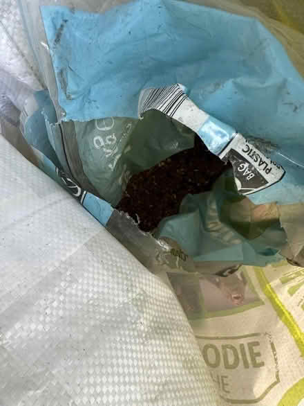 Photo of free Wild bird seed (Old Basford NG6) #1