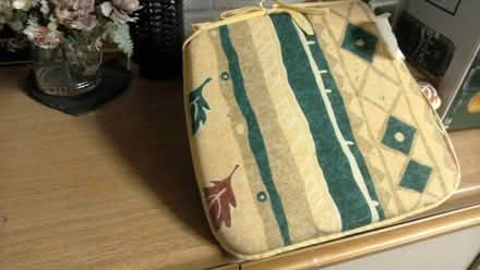 Photo of free DAB Radio, seat pads, plant pots (Ashbourne DE6) #1