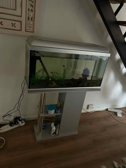 Photo of free Fish tank (AL3 near Waitrose) #2