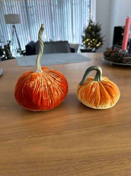 Photo of free Plush Pumpkins (seasonal decor) (Southwest D.C.) #1