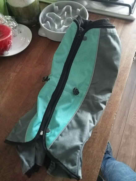 Photo of free Dog Coat (Shoreham Beach BN43) #2