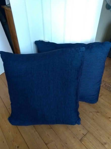 Photo of free Two large floor cushions (Girton CB3) #1