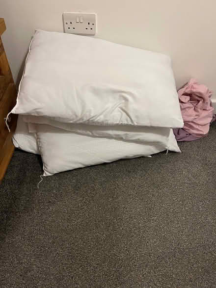 Photo of free 4 silentnight pillows 2 pillowcases (N5) #1