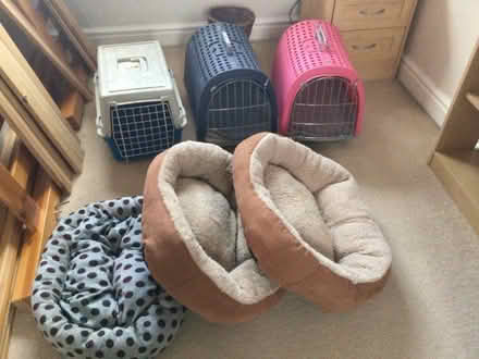 Photo of free Cat baskets and beds (No Mans Heath SY14) #1